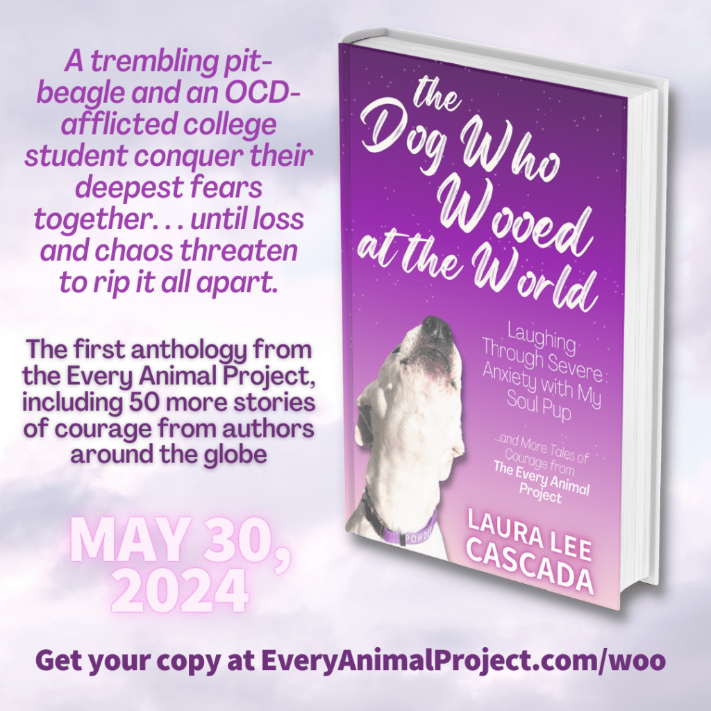 Cover imagae from the book, Dog Who Wooed at the World.